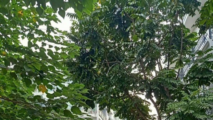 CHO THUÊ NHÀ LÀM VĂN PHÒNG, KD CỬA HÀNG KHU LK PHÙNG KHOANG, 4 TẦNG, 70M2